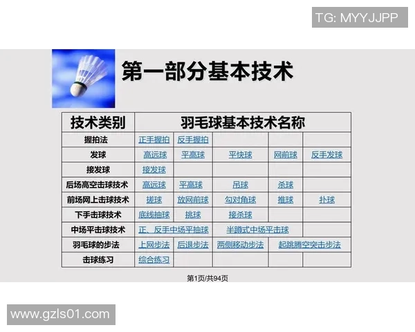 深圳羽毛球队与北京羽毛球队赛后战术分析与总结
